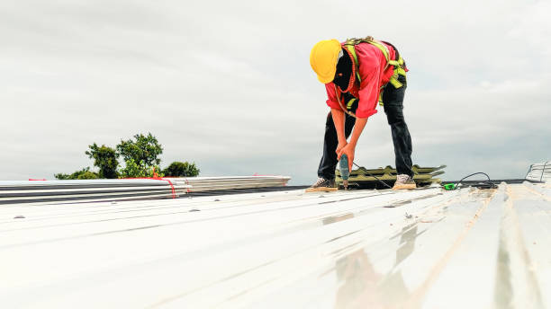 Best Steel Roofing  in Pquemine, LA